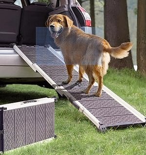 RAMPE D'ACCES pour GROS CHIEN dans voiture, Animaux & Accessoires, Enlèvement, Utilisé