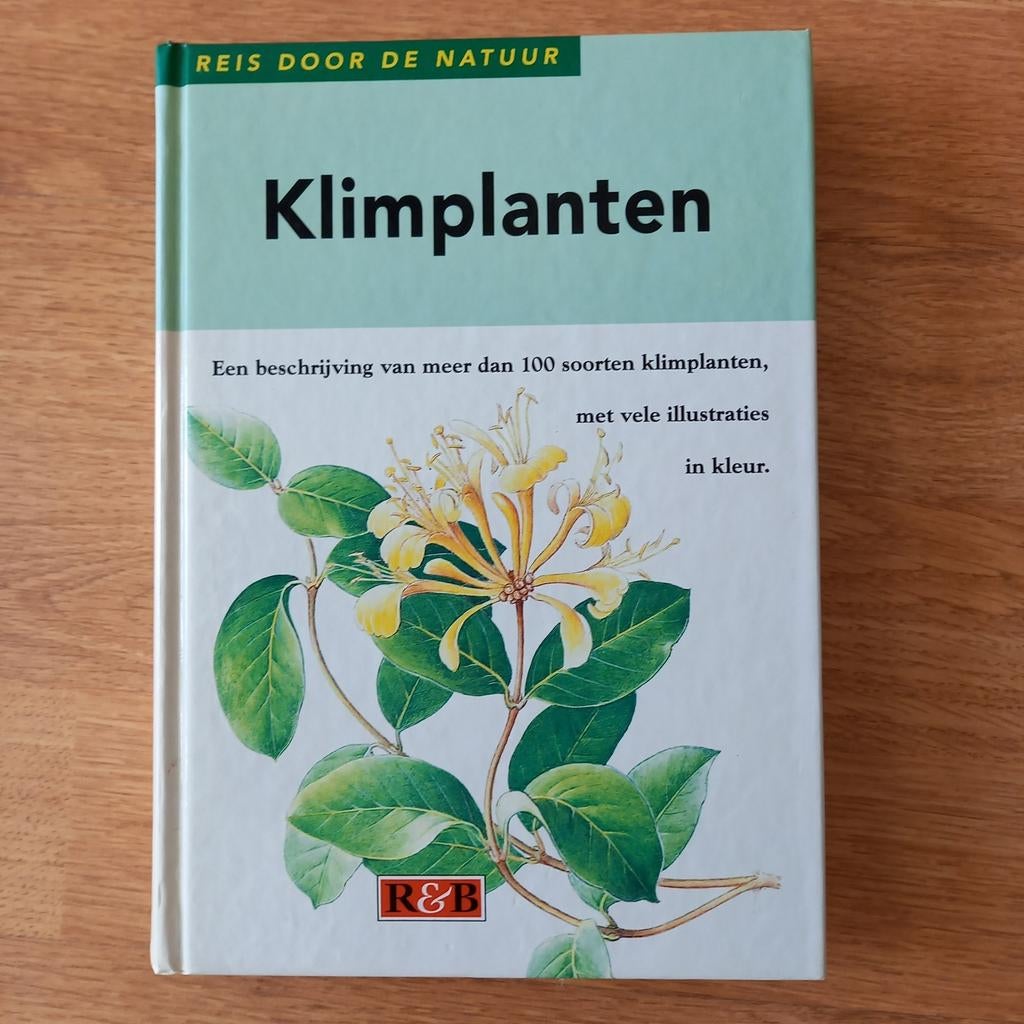 KLIMPLANTEN > DIE GAAN ONEINDIG, Ophalen of Verzenden