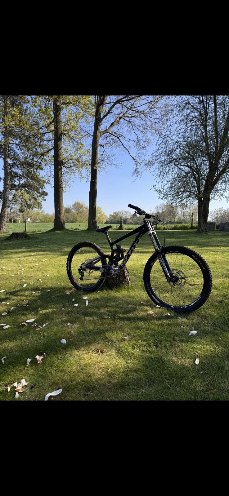 Vélo DH Scott, Vélos & Vélomoteurs, Vélos | VTT & Mountainbikes, Utilisé, Hommes, Autres marques, VTT tout suspendu, Frein à disque