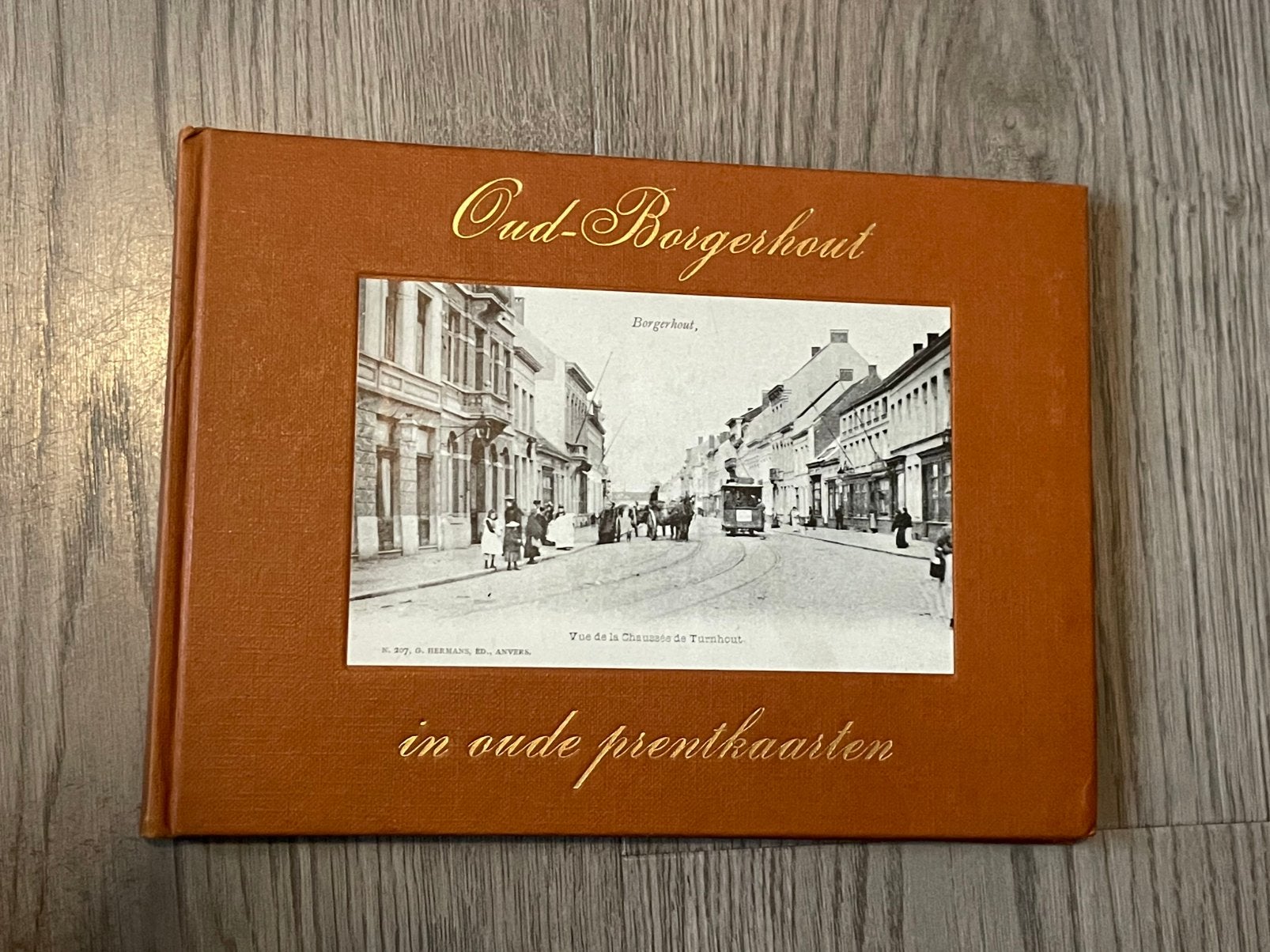 Boek oud borgerhout in oude prentkaarten, Boeken, Ophalen of Verzenden