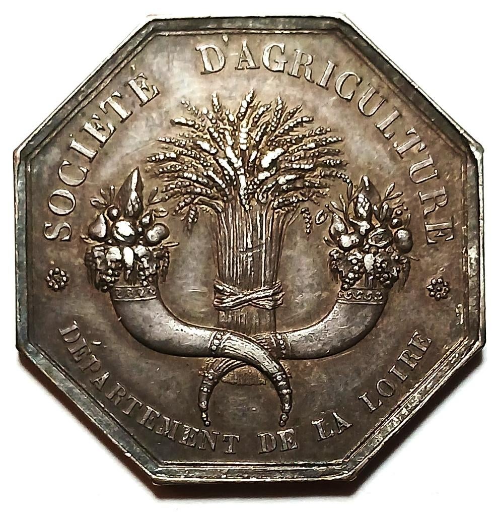 médaille d'argent 1828 Société d'agriculture de la loire, Enlèvement ou Envoi, Argent