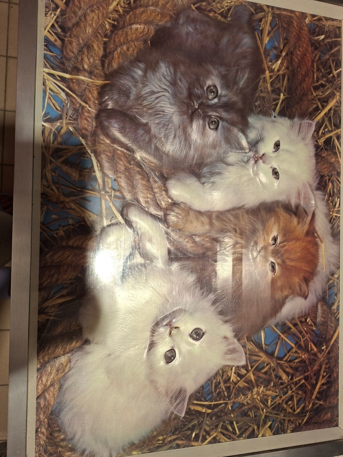 3D katten in kader, Ophalen