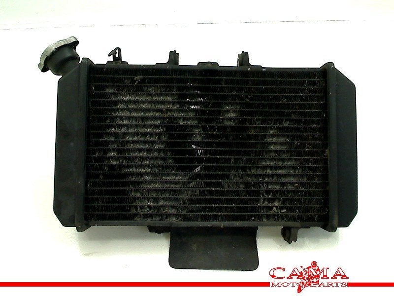 RADIATEUR Hyosung Comet GT650 R (GT650R) (01-1970/-), Motoren, Dhr. S. di Majo, Gebruikt, Info@cama-motorparts.nl, P.J. Troelstraweg 8 8
3144 CX  MAASSLUIS, NL