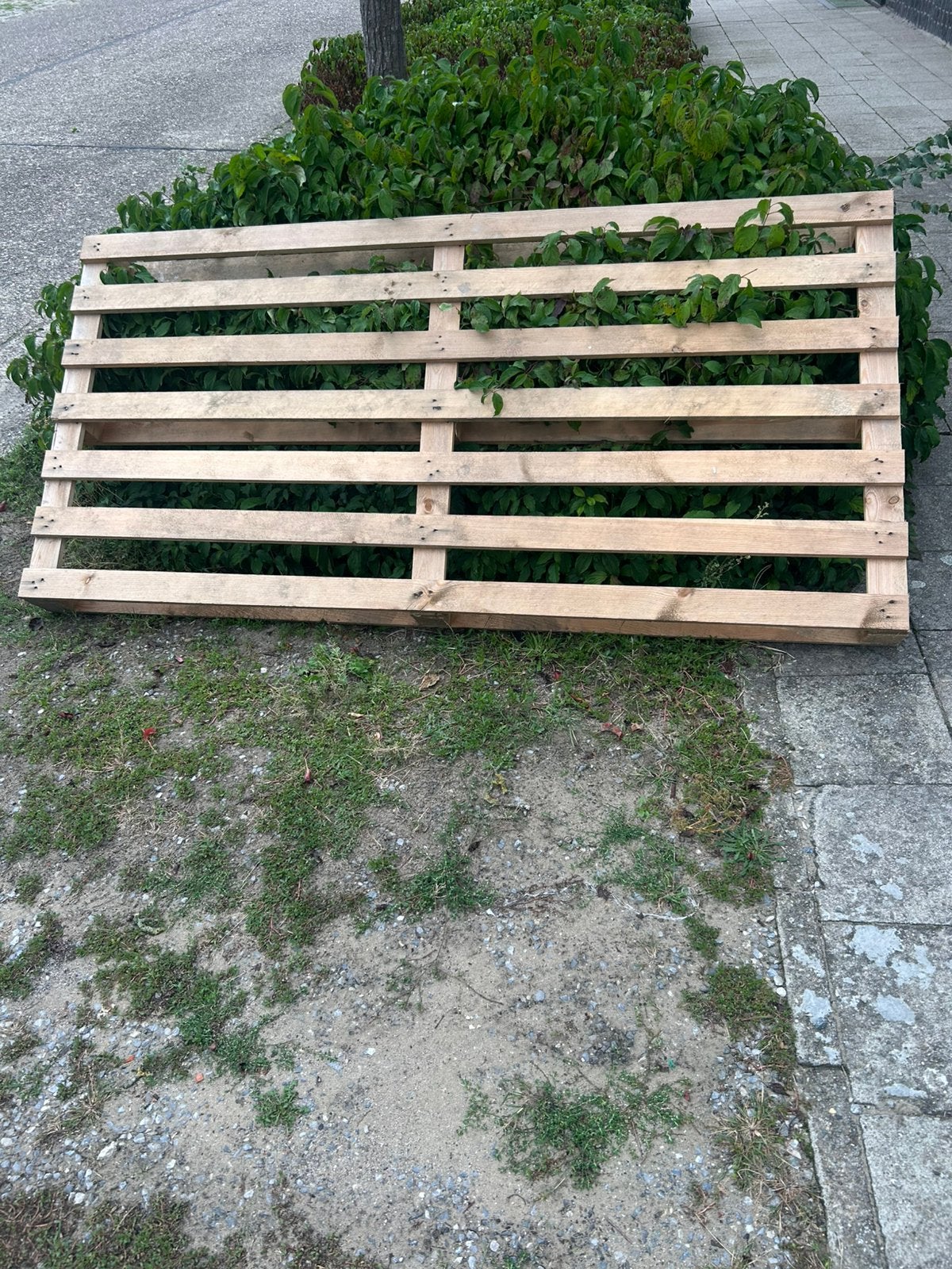 Gratis pallet 200x100 cm, Ophalen, Zo goed als nieuw