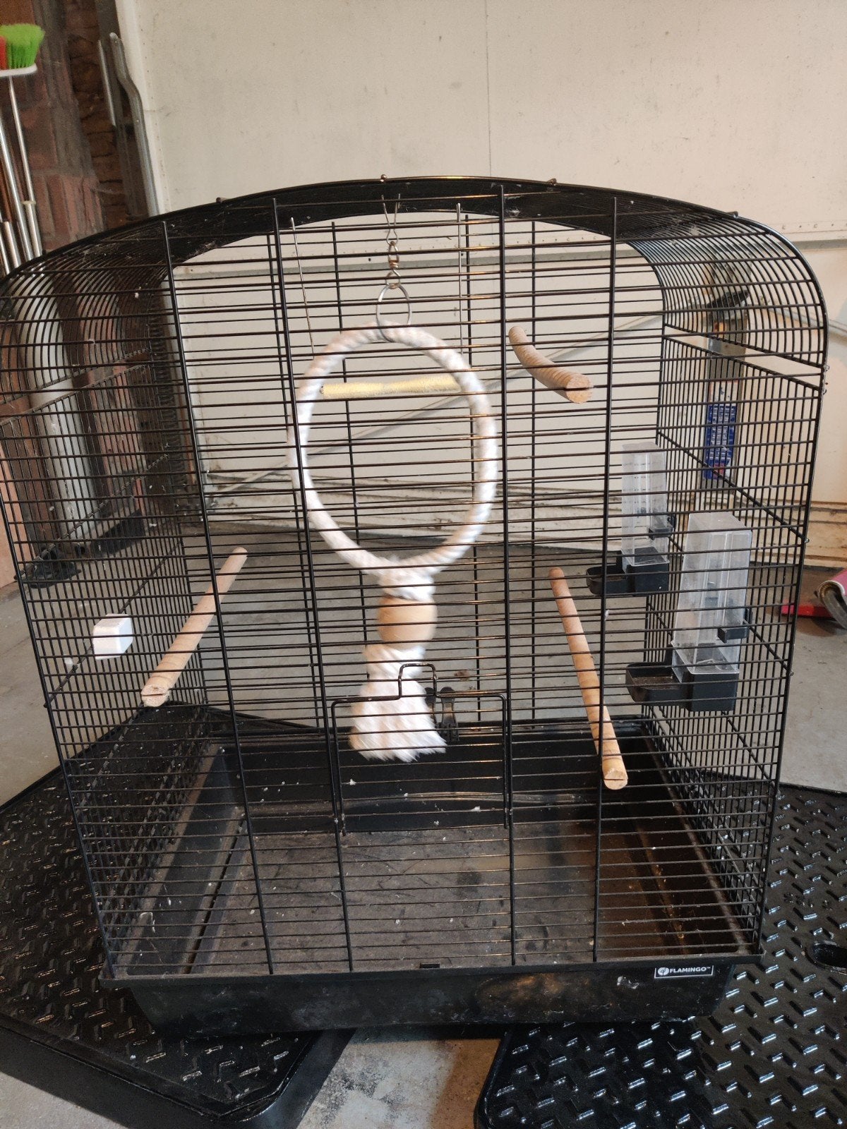 Vogelkooi, Ophalen, Zo goed als nieuw, Metaal, Vogelkooi