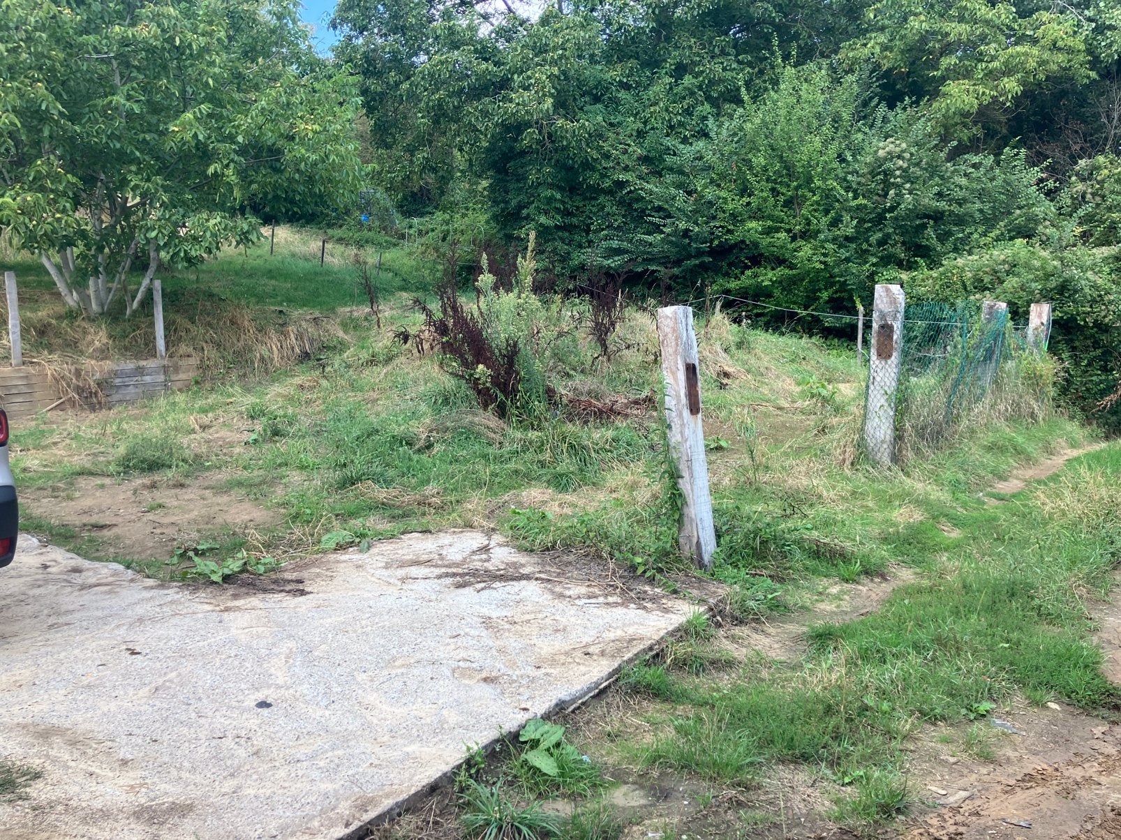 Pâturage à vendre - Grand Leuven, Immo, Terrains & Terrains à bâtir, Ventes sans courtier, 1500 m² ou plus