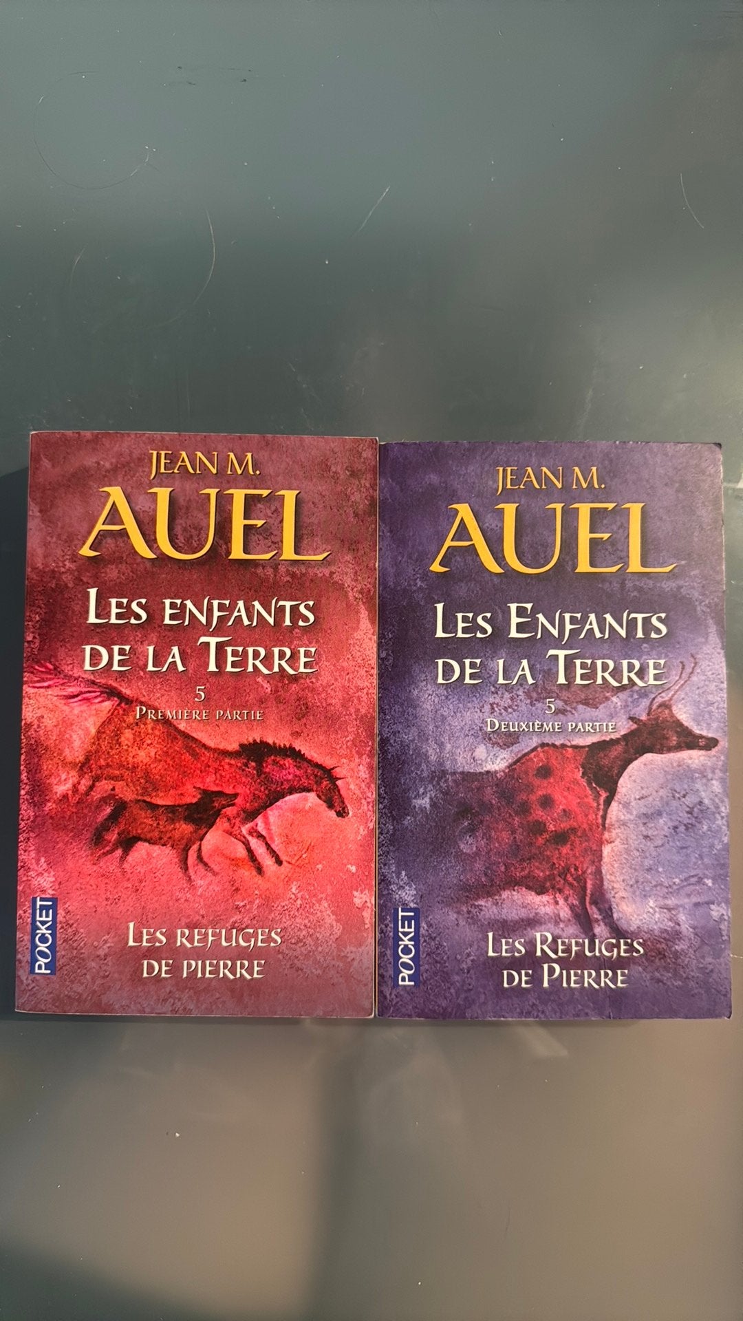 Les Enfants de la Terre tome 5, Enlèvement, Comme neuf