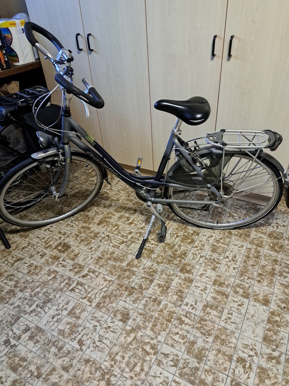 Gazelle dames fiets, Ophalen, Gazelle