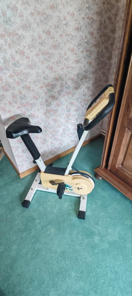 Ancien vélo appartement., Sport en Fitness, Fitnessapparatuur, Ophalen, Overige materialen, Gebruikt, Benen