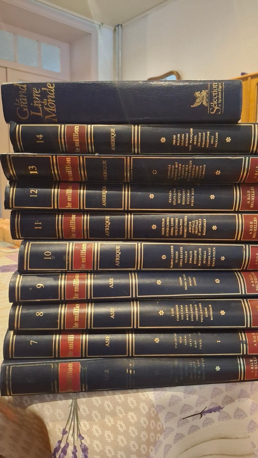 Lot de livres Le Million – Encyclopédie de tous les pays + G, Livres, Encyclopédies, Enlèvement