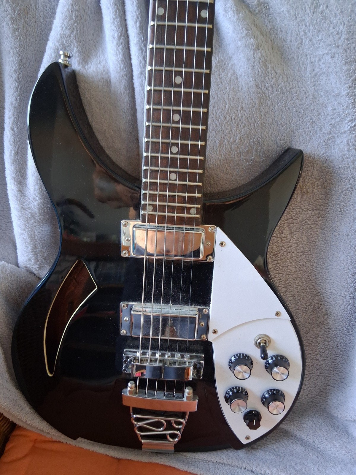 Rickenbacker 325john Lennon.copyopgredec, Muziek en Instrumenten, Ophalen