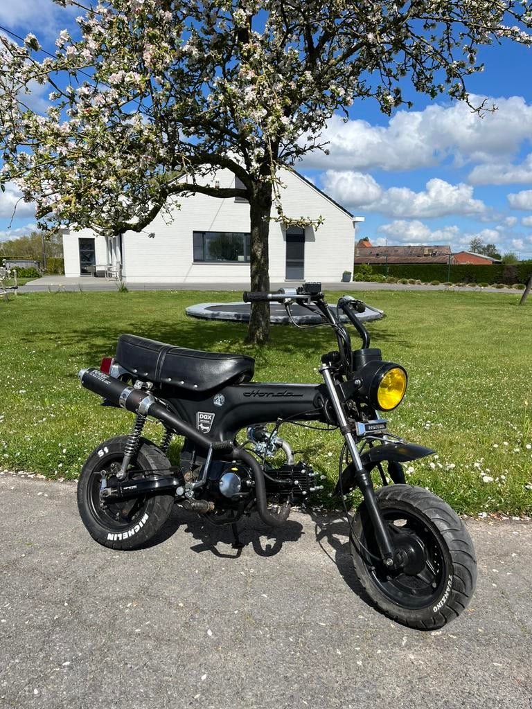 Dax 50cc b klasse, Fietsen en Brommers, Ophalen, Gebruikt, Klasse B (45 km/u), 4 versnellingen