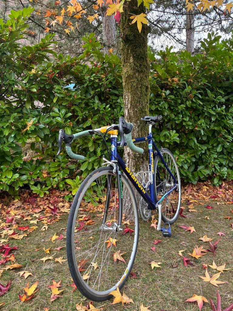 Velo Bianchi Marco Pantani, Vélos & Vélomoteurs, Vélos | Hommes | Vélos de sport & Vélo de randonnée, Utilisé, 53 à 57 cm, Enlèvement