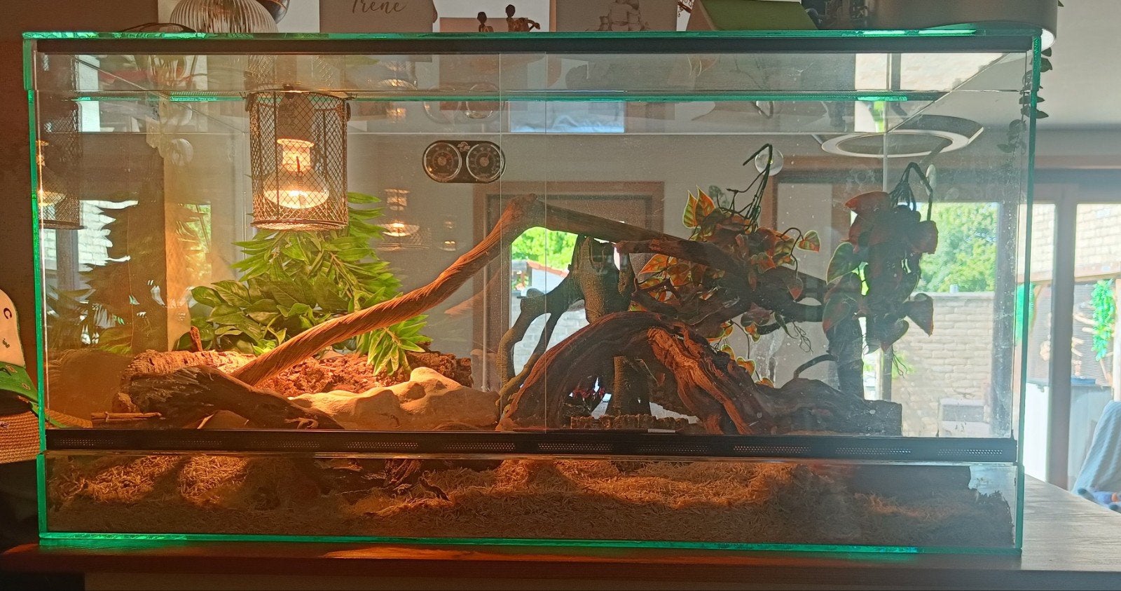 Groot terrarium 100x50x50, Dieren en Toebehoren, Ophalen