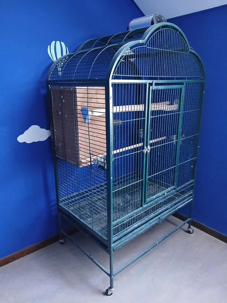 Cage à oiseaux à vendre, Animaux & Accessoires, Oiseaux | Cages & Volières, Enlèvement, Cage à oiseaux