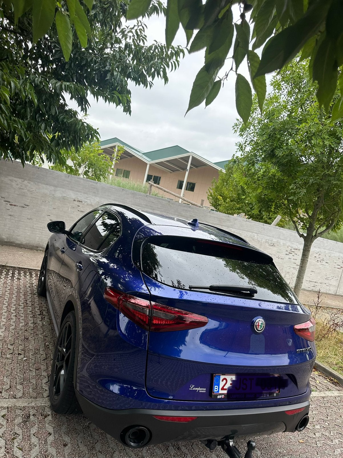 Alfa Romeo stelvio 2020 2.2 117000 klm, Autos, Alfa Romeo, Cuir, Achat, Euro 6, Entreprise