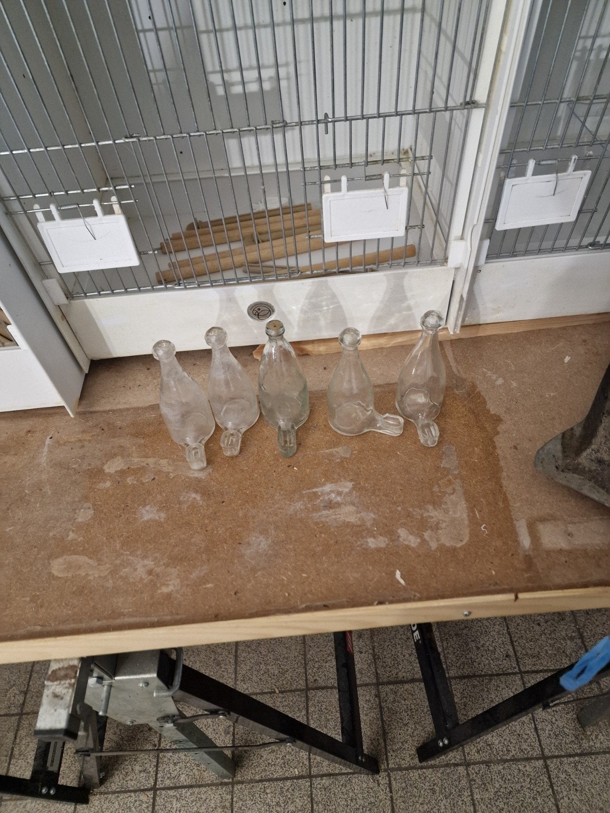 flesjes voor vinken, Dieren en Toebehoren
