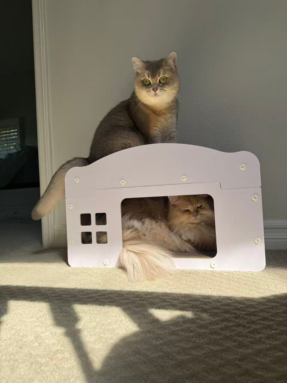 Nieuwe 2-in-1 Kattenhuis & Krabplank – Groot Kartonnen Krabb, Ophalen of Verzenden