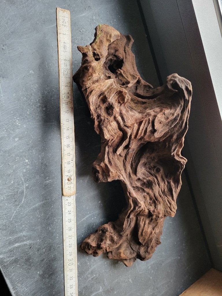 Driftwood (hout voor in aquarium/terrarium), Ophalen of Verzenden, Zo goed als nieuw, Plant(en), Steen of Hout