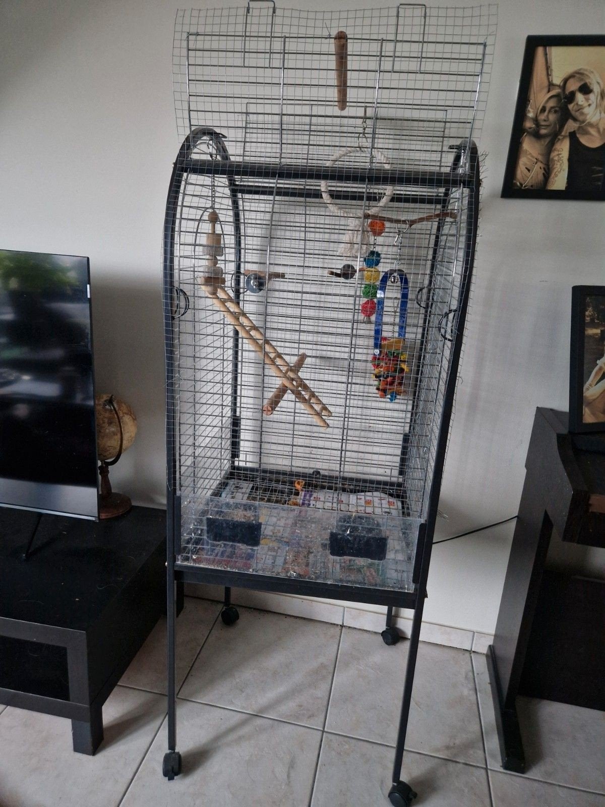 Cage à oiseaux, Enlèvement, Cage à oiseaux