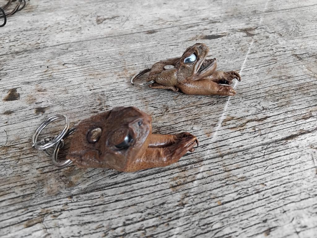 Porte clef crapaud, Collections, Enlèvement