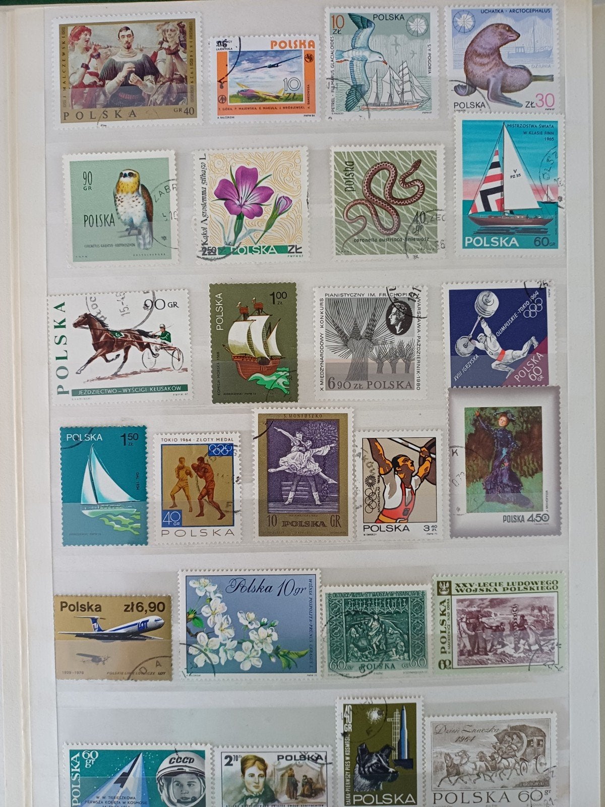 grand lot de timbres de l'ancien monde, 5 albums A4, environ, Enlèvement