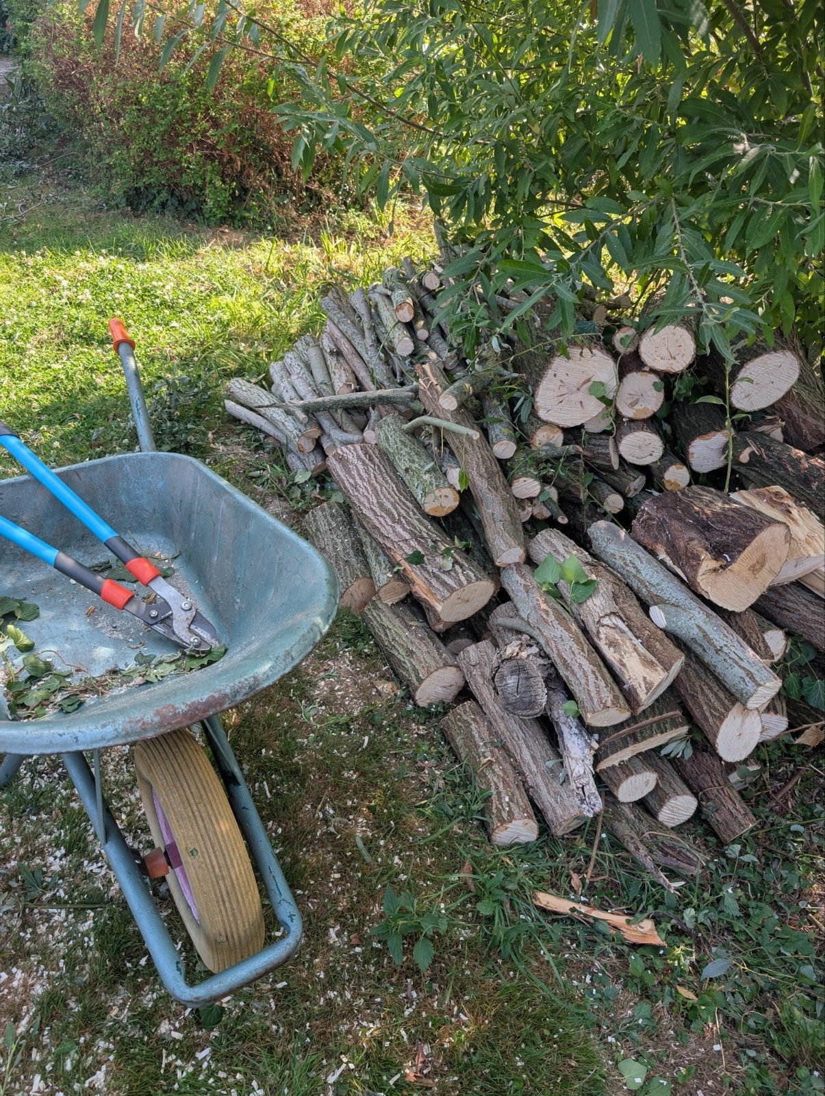 brandhout wilg, Tuin en Terras, Ophalen
