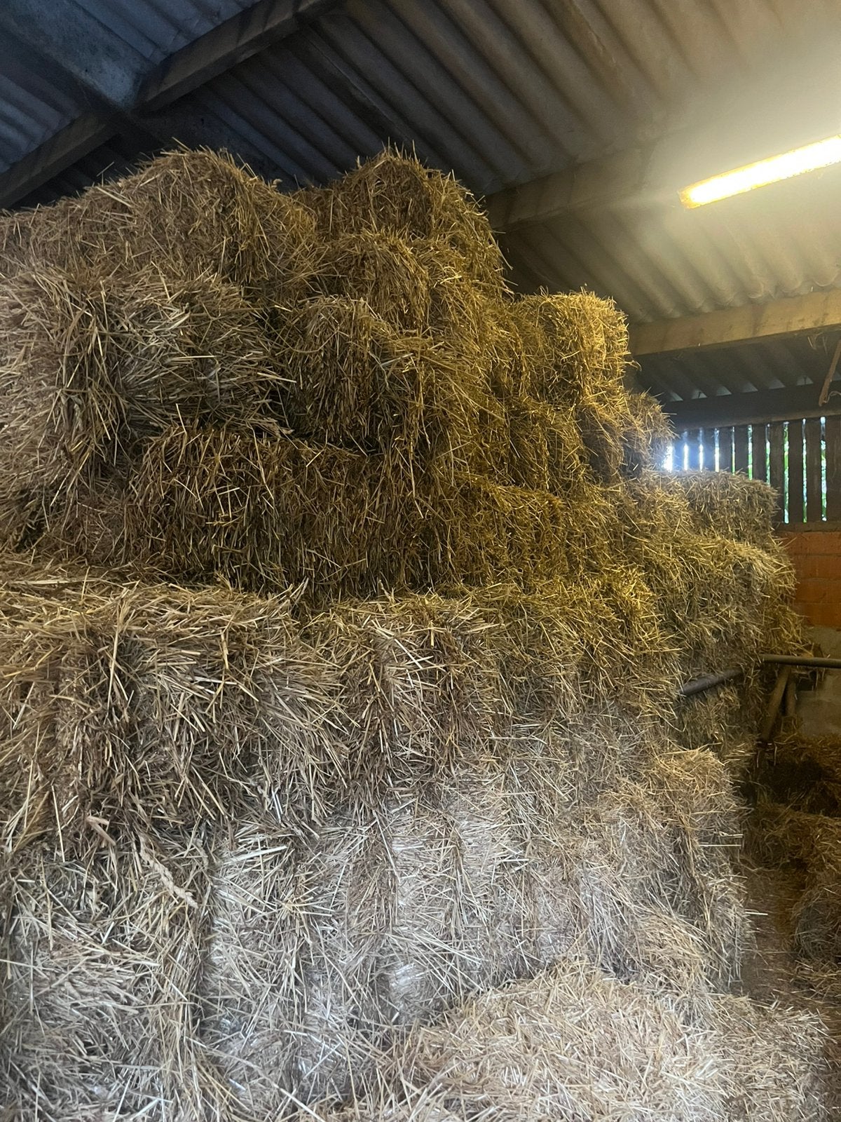 Hooi te koop, Dieren en Toebehoren, Ophalen