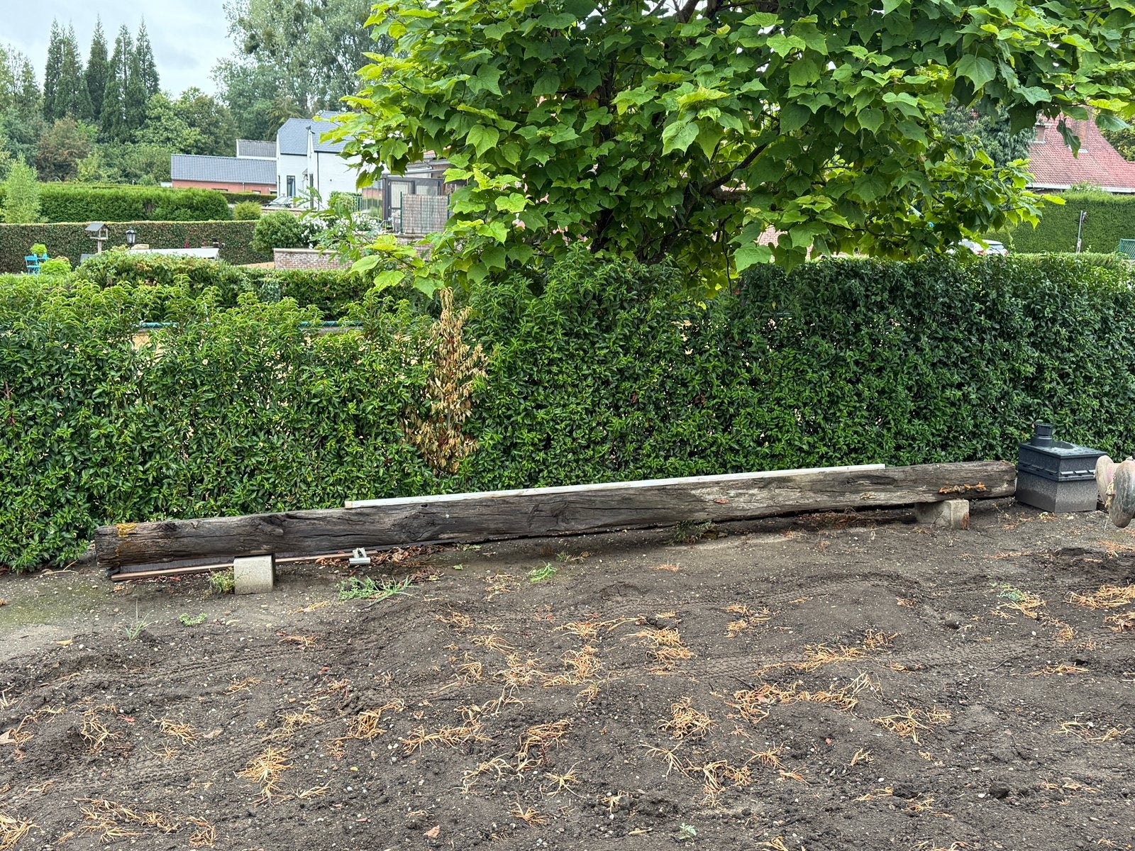 Poutre en chêne 570 cm, Enlèvement