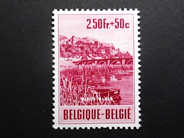 OBP 921 Citadelle de Namur (1953) MH, Ophalen of Verzenden