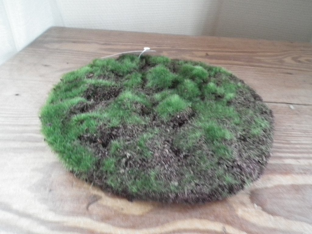 Tapis de décoration. diamètre 21 cm (Casa) nouveau, Neuf, Autres marques, Synthétique, Vert