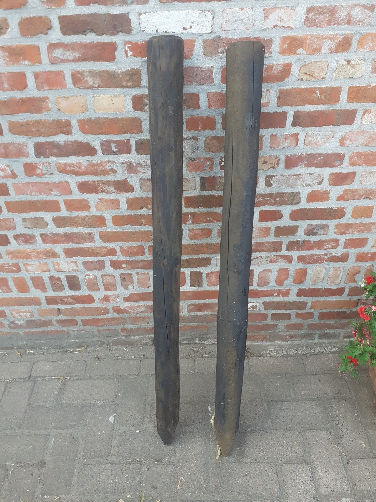weipalen, Dieren en Toebehoren