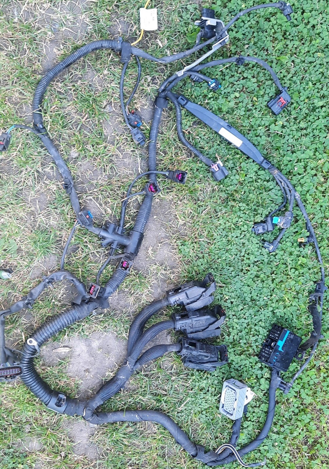 Kabelboom voor de Opel A14XER, B14XER-motor, Auto-onderdelen, Ophalen, Gebruikt, Opel