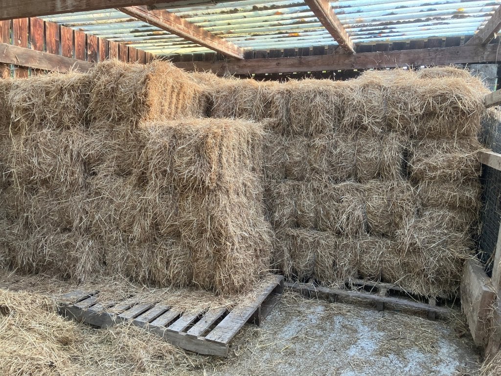 Vers hooi te koop, Ophalen