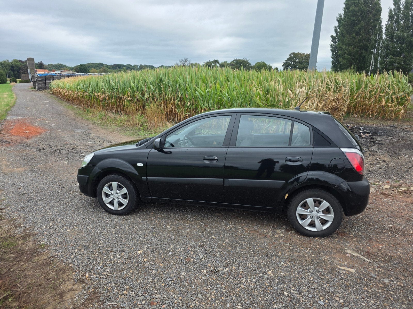 kia RIO, Autos, Kia, Achat, Boîte manuelle, 5 portes, Particulier