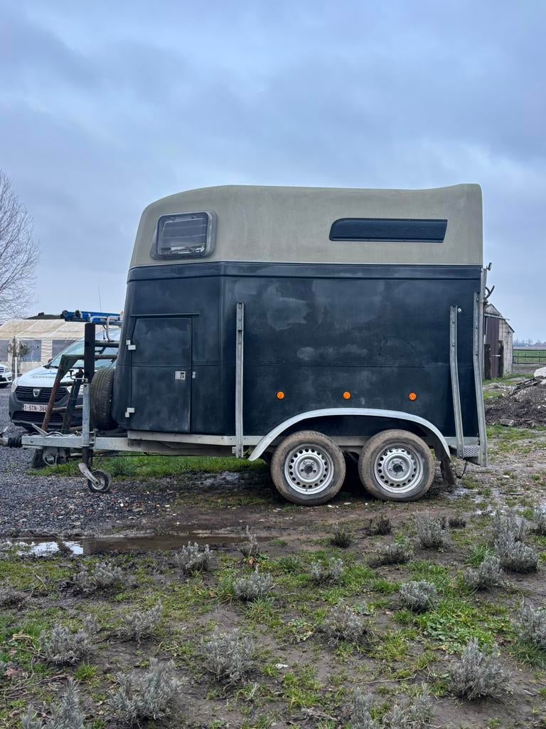 Bockmann paarden trailer, Enlèvement, Utilisé, Polyester, Remorque 2 chevaux