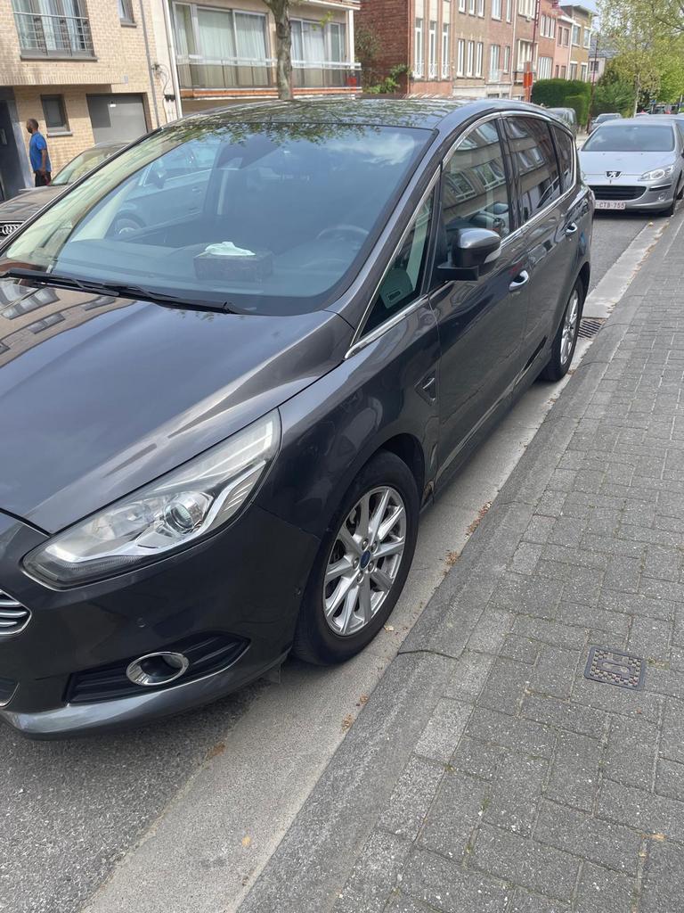 Ford Smax, Auto's, Ford, Particulier, S-Max, Diesel, Automaat, Leder, Ophalen