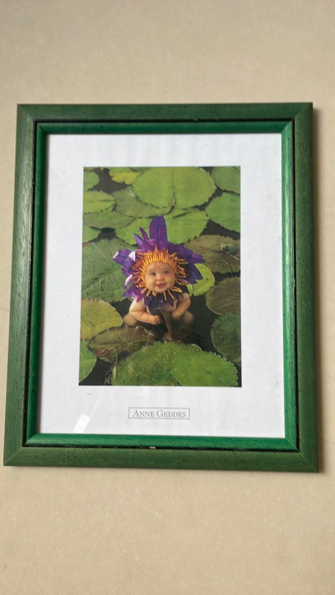 Kader Anne Geddes, Enlèvement, Neuf