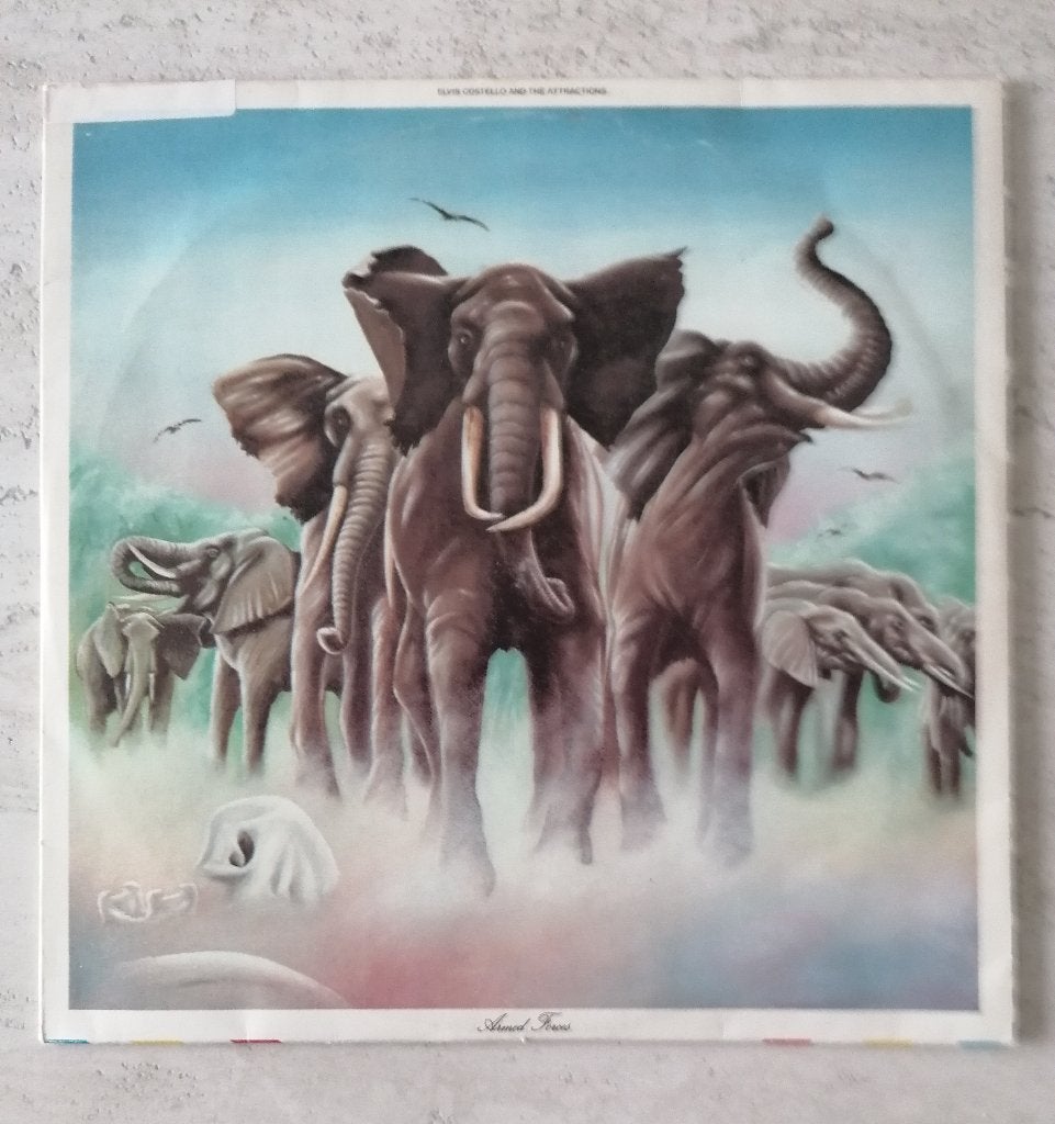 LP Elvis Costello and the attractions, Enlèvement, Utilisé, LP