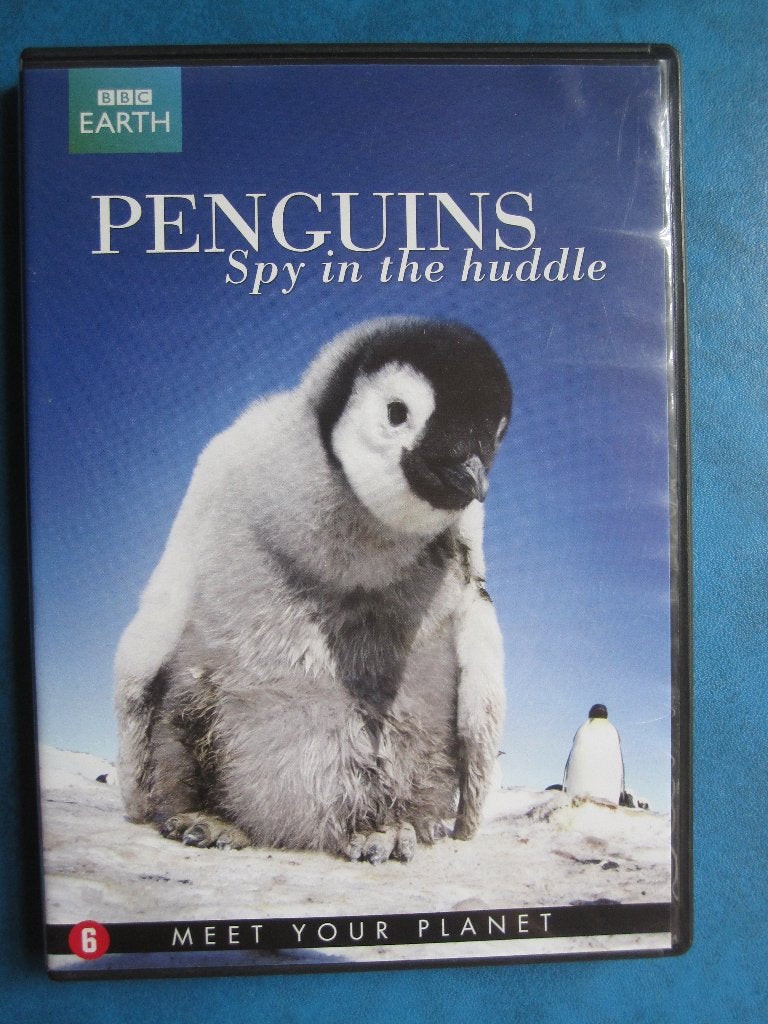 Pingouins - Un espion en groupe, À partir de 6 ans, Enlèvement ou Envoi, Anglais, Nature