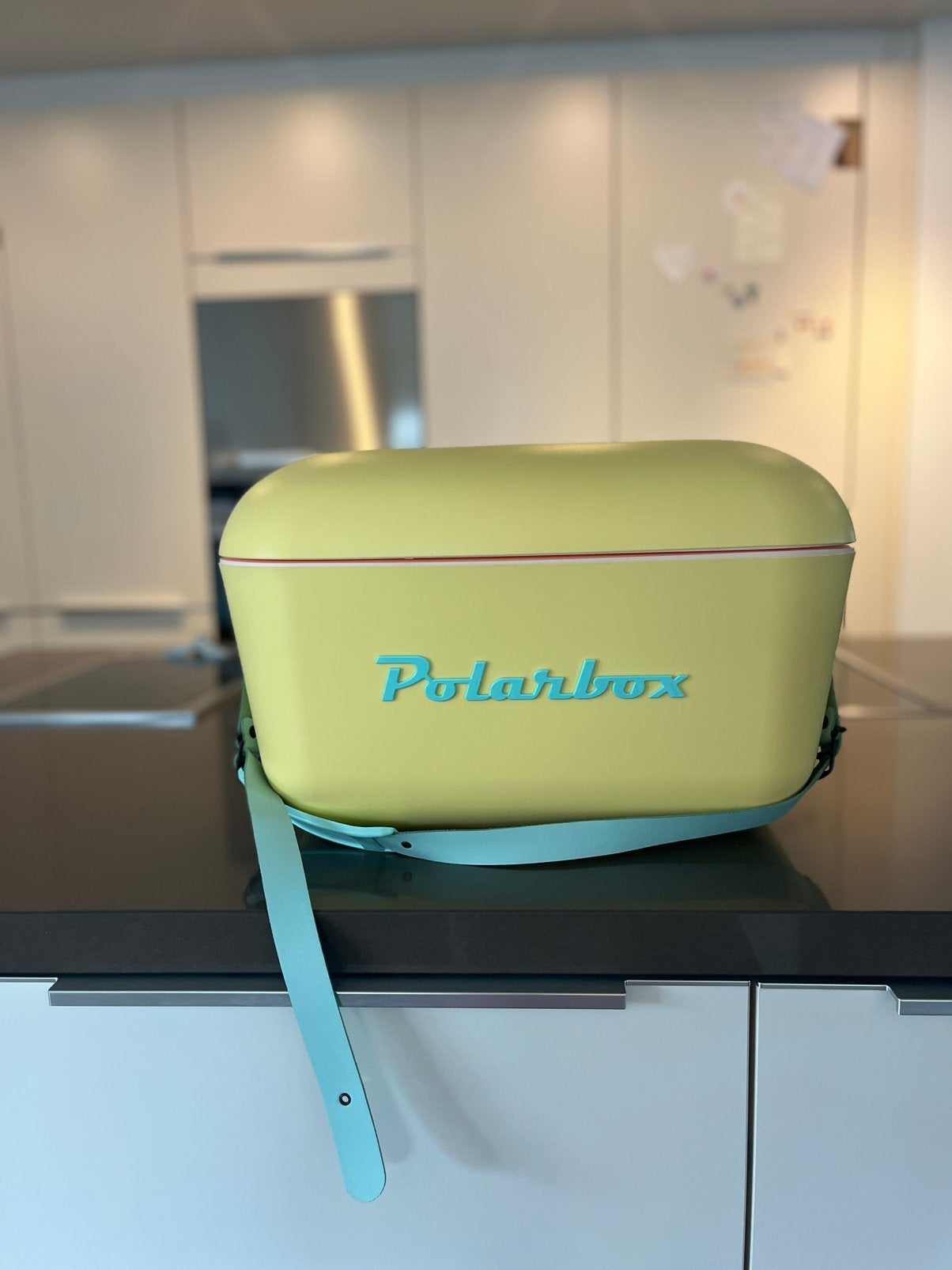 Polarbox koelbox 20l geel met blauw, Caravans en Kamperen, Ophalen, Zo goed als nieuw, Koelbox