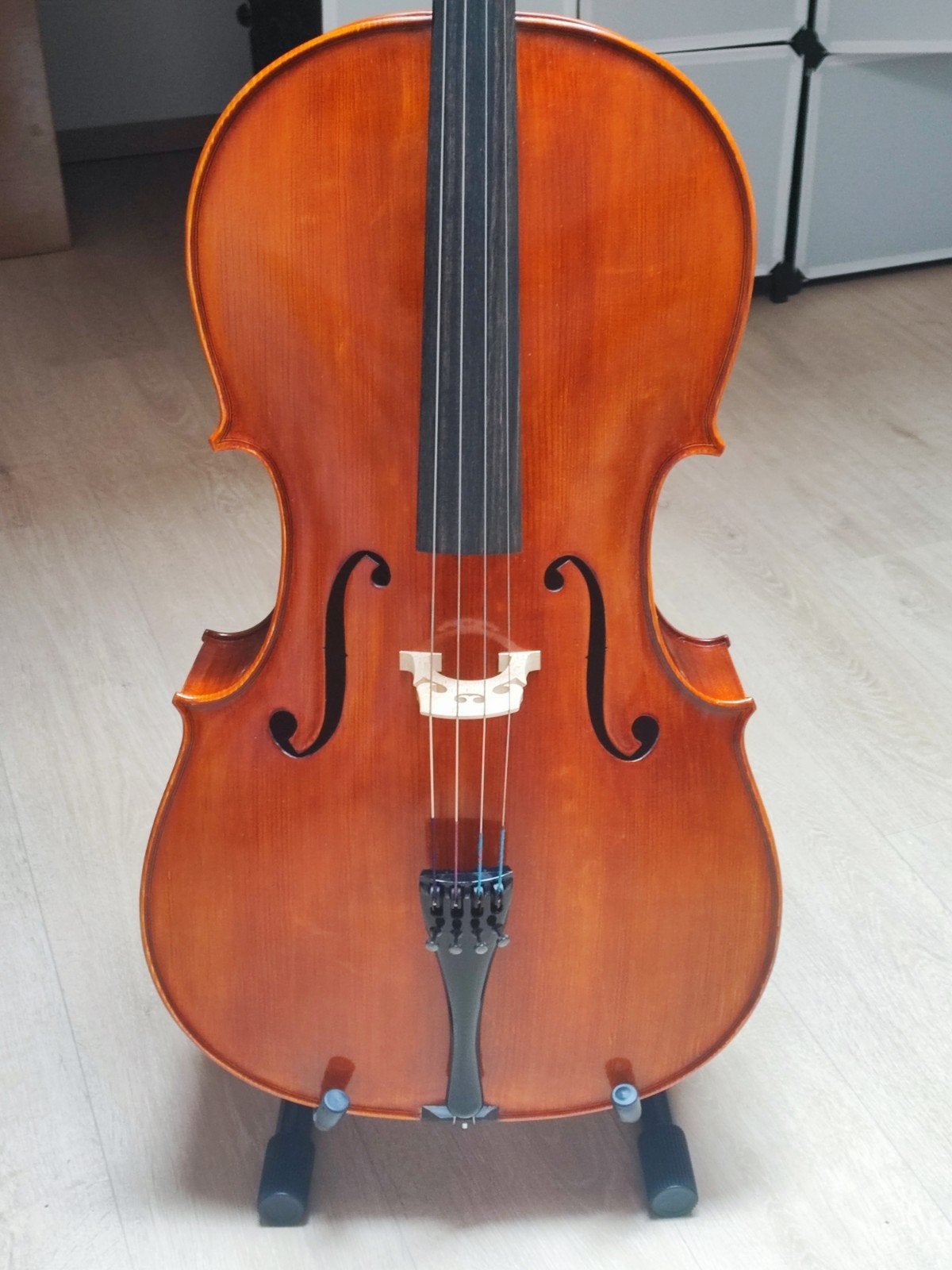 Violoncelle 4/4 allemand, Musique & Instruments, Enlèvement
