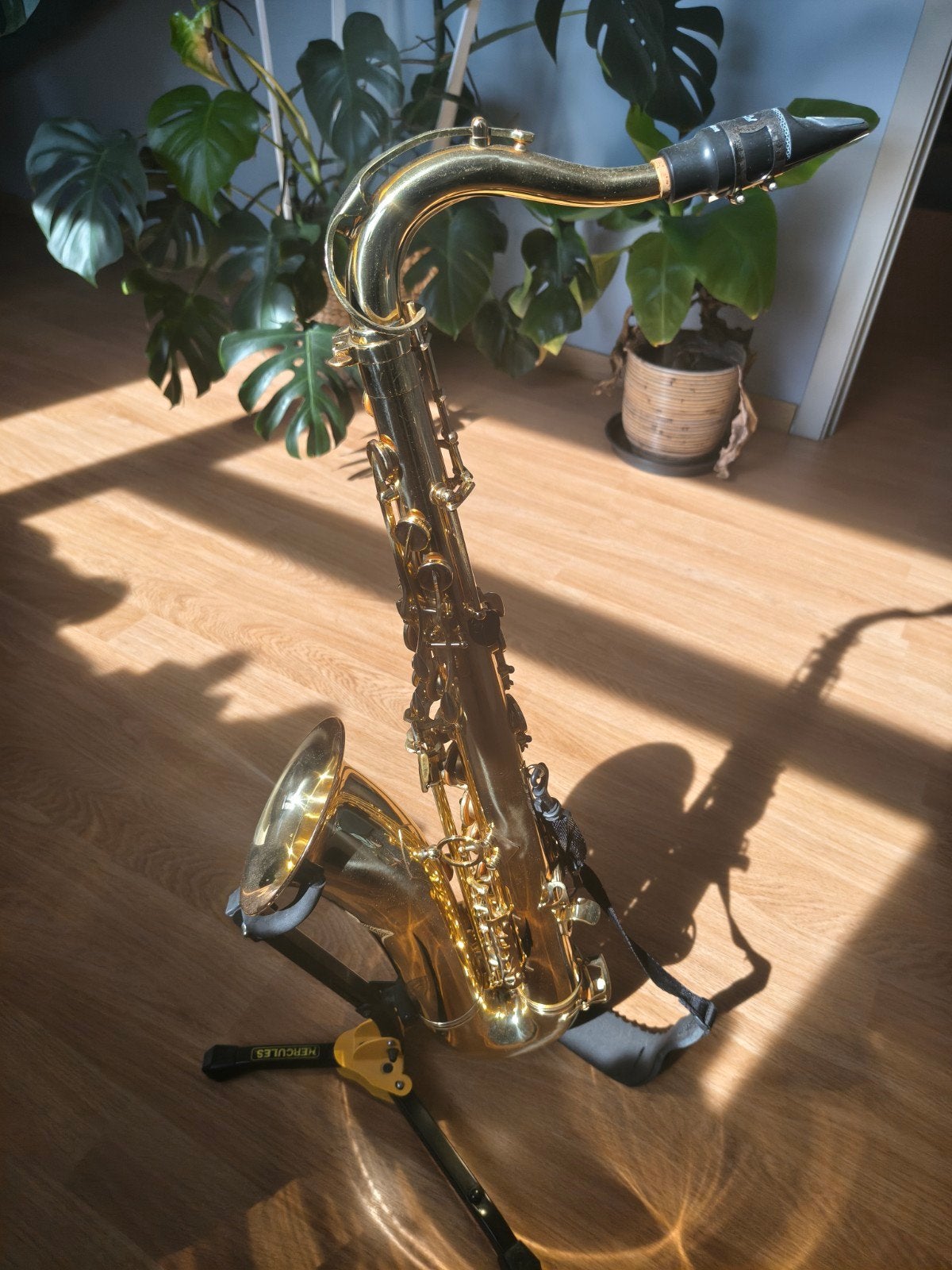 Tenor Sax NYS (Adams), Enlèvement, Comme neuf, Ténor, Avec valise