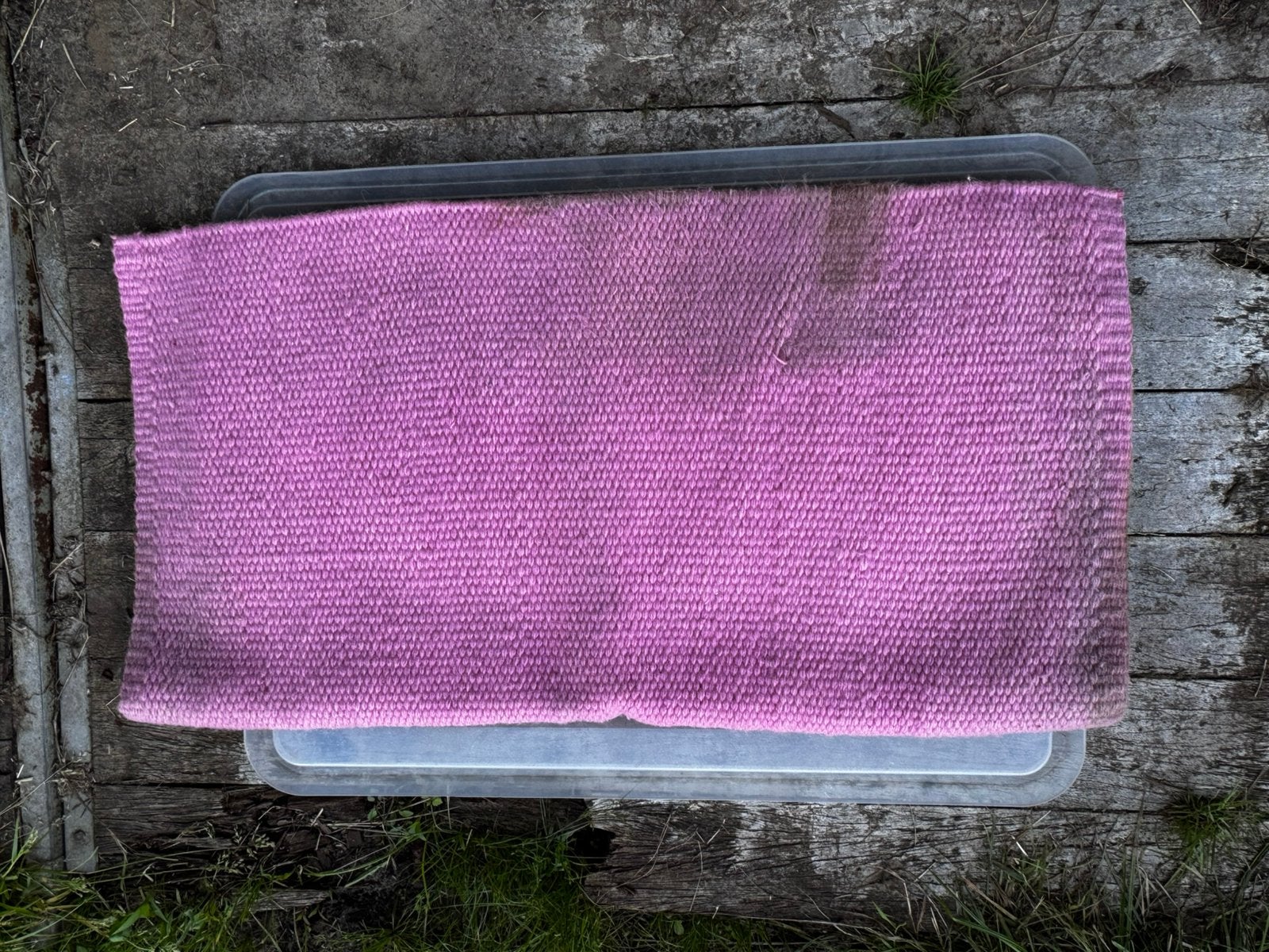 Western showblanket Mayatex, Full (L), Laine, Rose, Enlèvement ou Envoi
