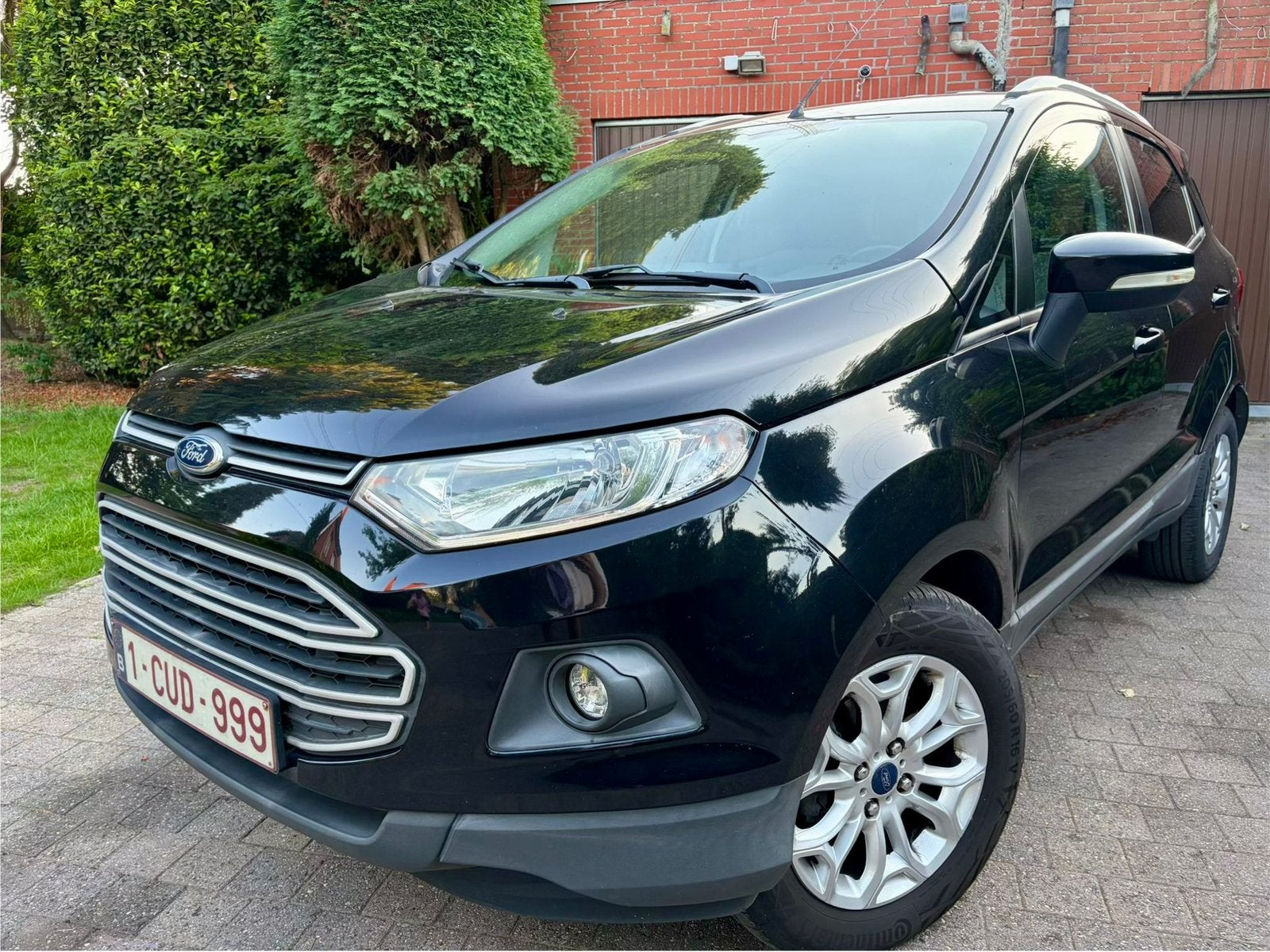 Ford EcoSport, Auto's, Ecosport, Bedrijf, Onderhoudsboekje, Te koop