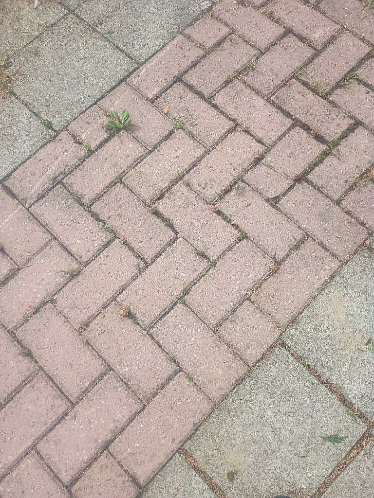 Klinkers, Jardin & Terrasse, Pavé & Dalles, Enlèvement, Utilisé, 10 m²² ou plus, Briques
