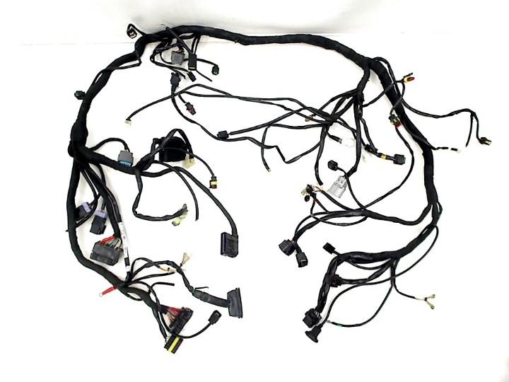 FAISCEAU DE CÂBLAGE DIVERS KTM (60711075033), Dhr. S. di Majo, Utilisé, Info@cama-motorparts.nl, P.J. Troelstraweg 8 8
3144 CX  MAASSLUIS, NL