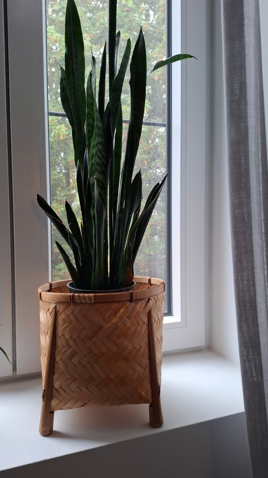 Planten houder, Ophalen