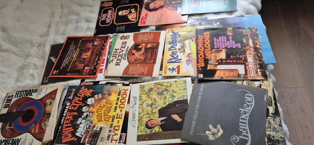Grote lot vinylplaten – diverse artiesten (pop, klassiekers,, Enlèvement