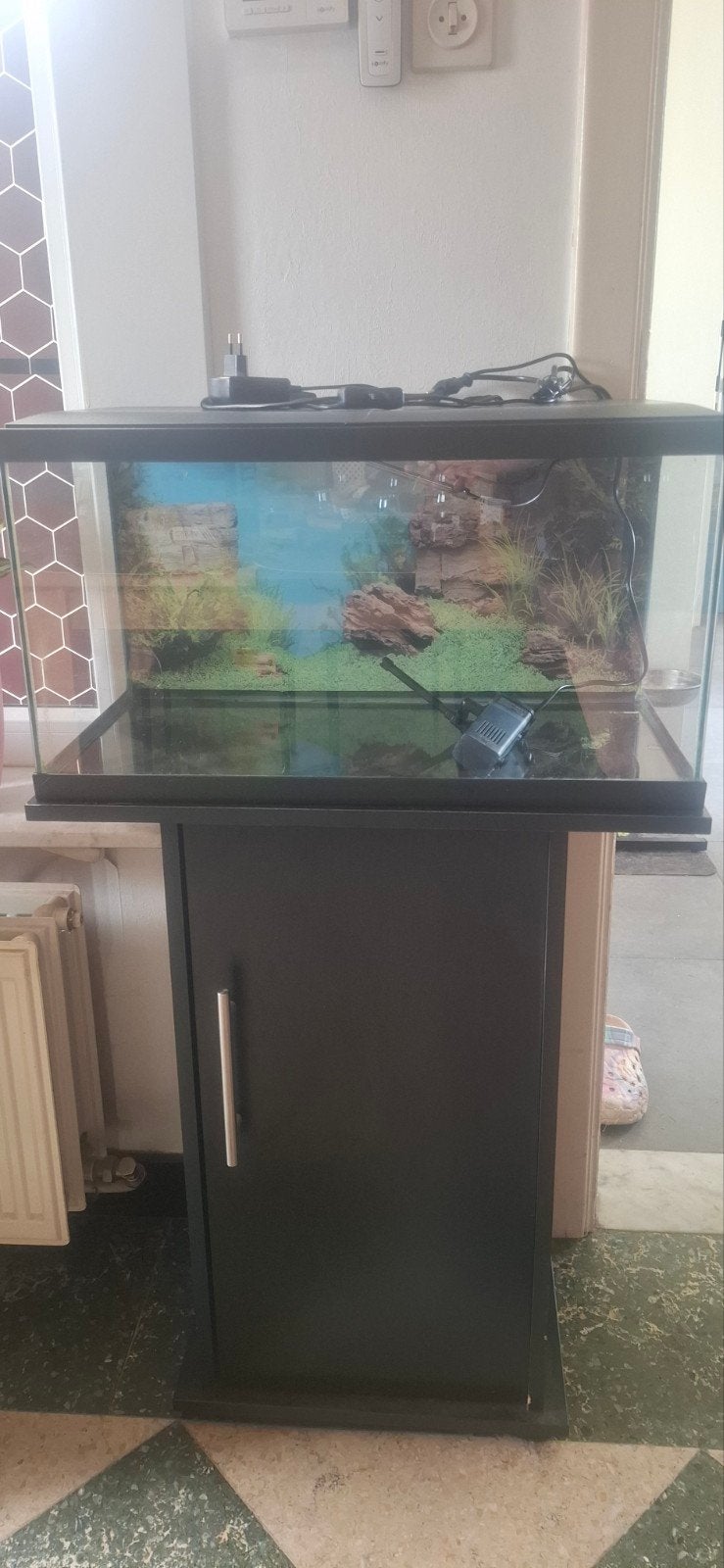 Aquarium met kast, Enlèvement, Couvercle inclus, Utilisé, Filter